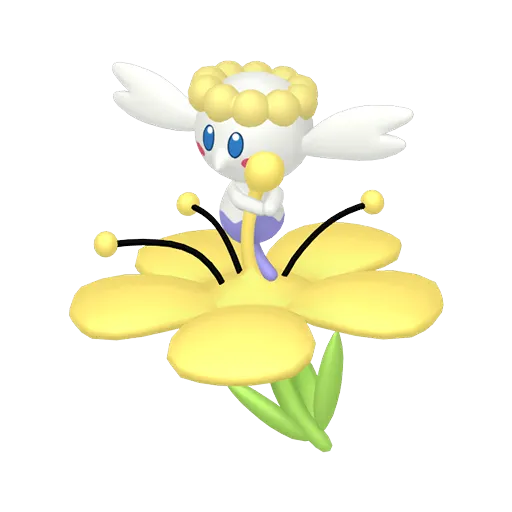 XY フラベベ フラエッテ フラージェス アンリミ XY フラベベ フラエッテ フラージェス アンリミ XY フラベベ