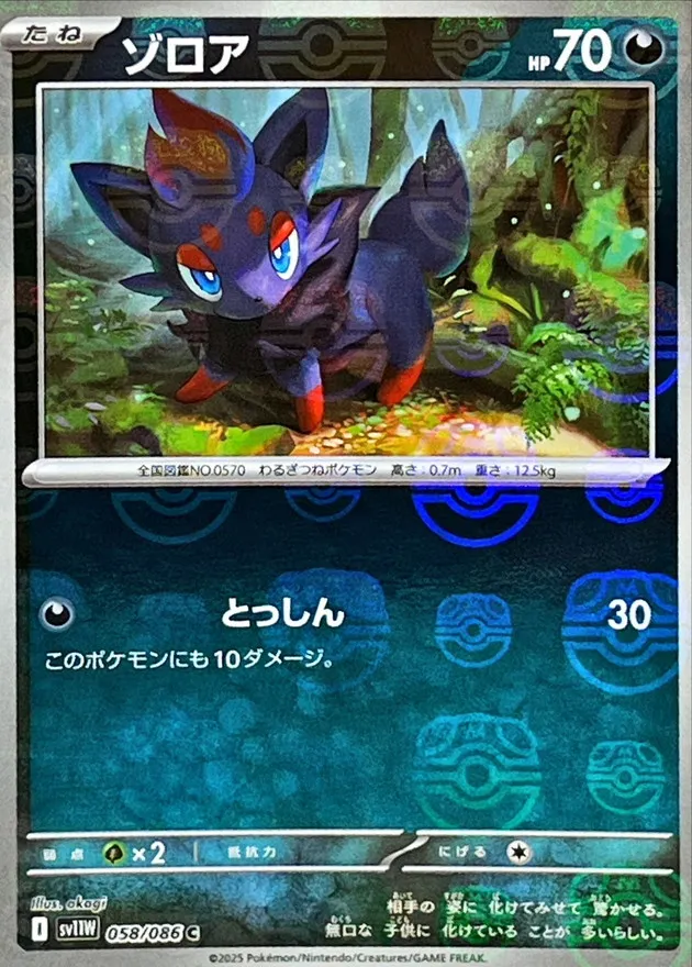 PSA10 ゾロア　色違い　ポケカ　ポケモンカード ☆PSA10☆【Nのゾロア/AR/SV9】N'S ZORUA 108/100 - メルカリ