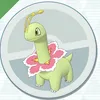 メガニウム