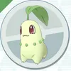 チコリータ