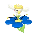 フラベベ(あおいはな)