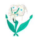 フラージェス(しろいはな)