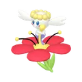 フラベベ(あかいはな)の色違い画像