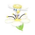 フラベベ(しろいはな)の色違い画像