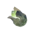 アカリバナの種