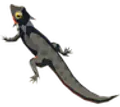 ヒケシトカゲ
