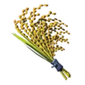 ハイラル米