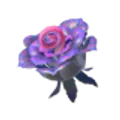 コンラン花