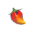 ポカポカ草の実