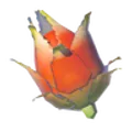 ビリビリフルーツ