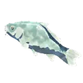 凍結ゴイ