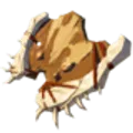 竜骨ボコ盾