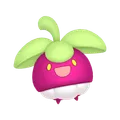 アマカジ
