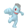 ワンリキー