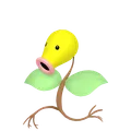 マダツボミ