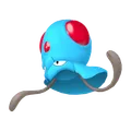 メノクラゲ