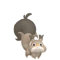 ホシガリス