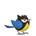 ココガラ