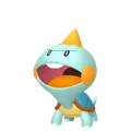 カムカメ