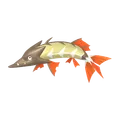 カマスジョー