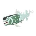 イダイトウ(メス)