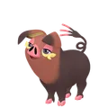 パフュートン(メス)
