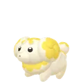 パピモッチ