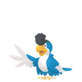 イキリンコ(ブルーフェザー)