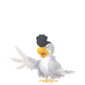 イキリンコ(ホワイトフェザー)