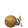 シガロコ