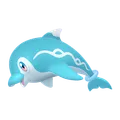 ナミイルカ