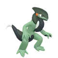 モトトカゲ