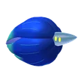 キラフロル
