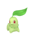 チコリータ