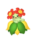 キレイハナ