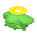 ポポッコ