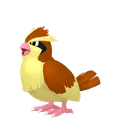 ポッポ