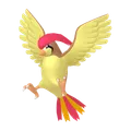 ピジョン