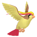 ピジョット