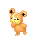 ヒメグマ