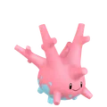 サニーゴ