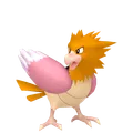 オニスズメ