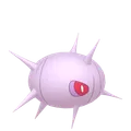 マユルド