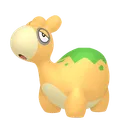 ドンメル