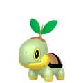 ナエトル