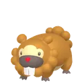 ビッパ