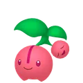 チェリンボ