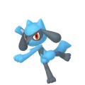 リオル