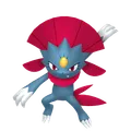 マニューラ