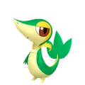 ツタージャ